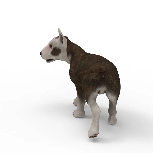 3D απόδοση σκύλου που δημιουργήθηκε με τη χρήση ενός εργαλείου μπλέντερ — Φωτογραφία Αρχείου
