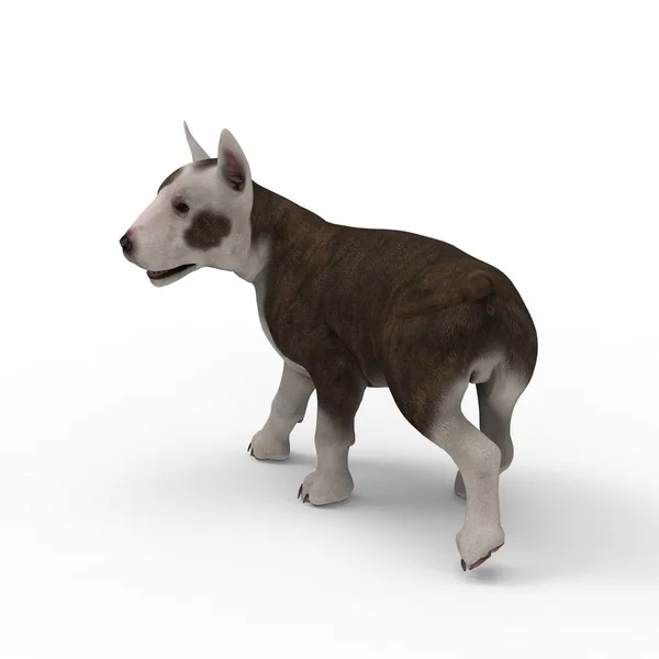 3d representación de perro creado mediante el uso de una herramienta de licuadora — Foto de Stock