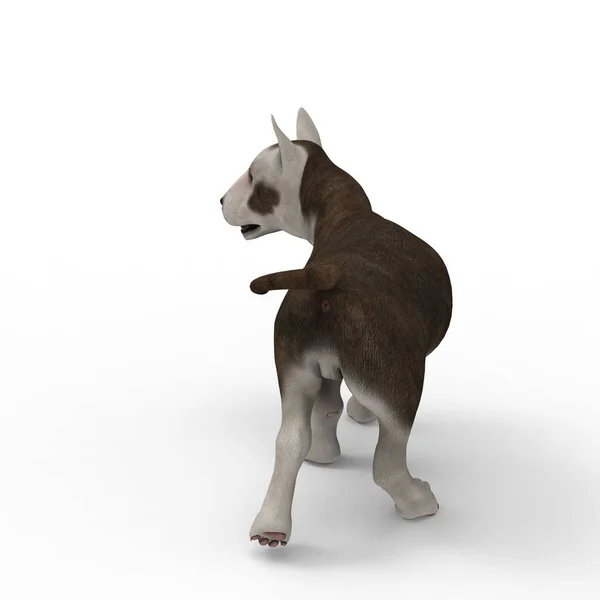 3d rendering of dog created by using a blender tool — Stock Photo, Image