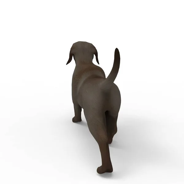 Bir blender aracı kullanılarak oluşturulan köpek 3d render — Stok fotoğraf