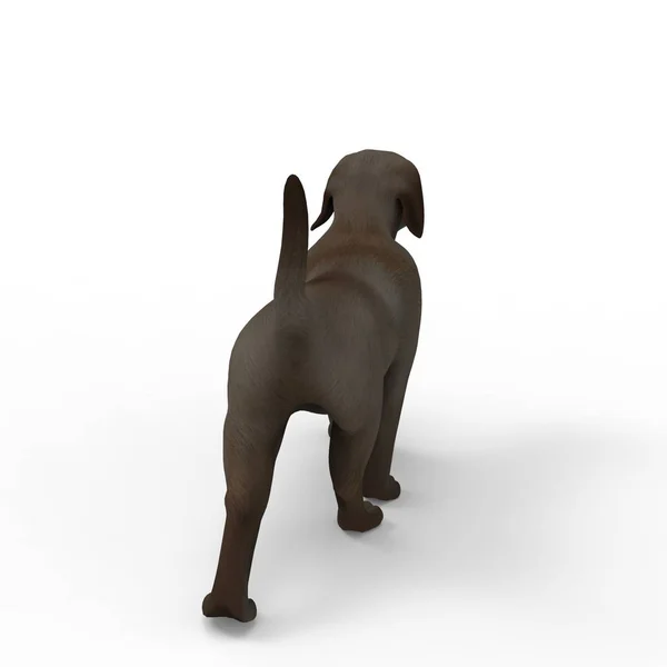 3D-rendering van hond gemaakt met een blender tool — Stockfoto