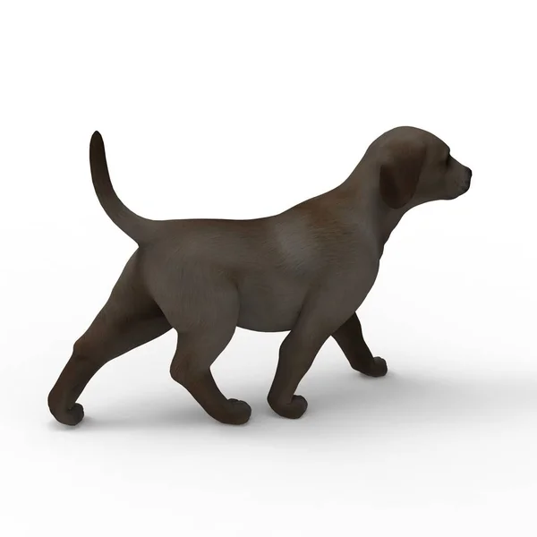 Bir blender aracı kullanılarak oluşturulan köpek 3d render — Stok fotoğraf