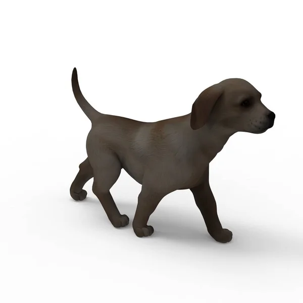 3D-Rendering von Hund erstellt mit einem Mixer-Tool — Stockfoto