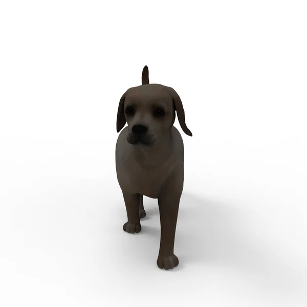 Redare 3D a câinelui creat prin utilizarea unui instrument de blender — Fotografie, imagine de stoc