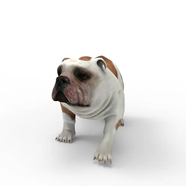 Bir blender aracı kullanılarak oluşturulan köpek 3d render — Stok fotoğraf