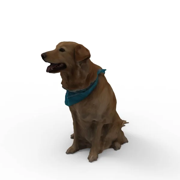 Bir blender aracı kullanılarak oluşturulan köpek 3d render — Stok fotoğraf