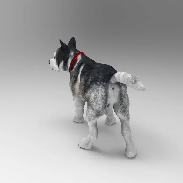 3d representación de perro creado mediante el uso de una herramienta de licuadora —  Fotos de Stock