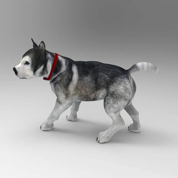 3d rendering of dog created by using a blender tool — Stock Photo, Image