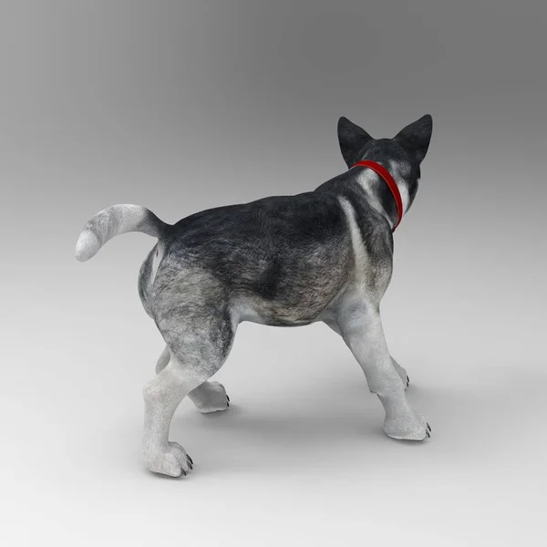 3d representación de perro creado mediante el uso de una herramienta de licuadora —  Fotos de Stock