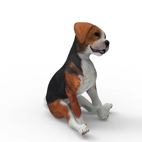 ブレンダーツールを使用して作成された犬の3Dレンダリング — ストック写真