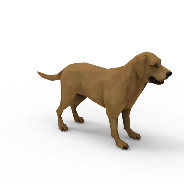 3d rendering of dog created by using a blender tool — Stock Photo, Image