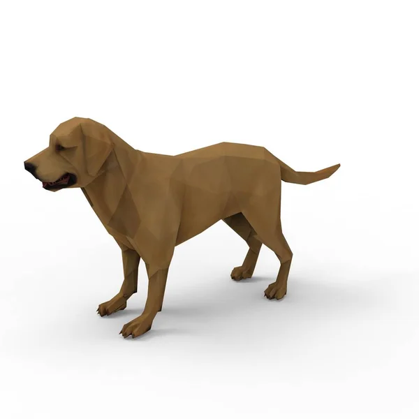 3D teszi a kutya segítségével létrehozott turmixgép eszköz — Stock Fotó