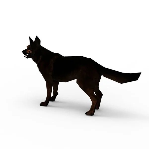 3D-rendering van hond gemaakt met een blender tool — Stockfoto