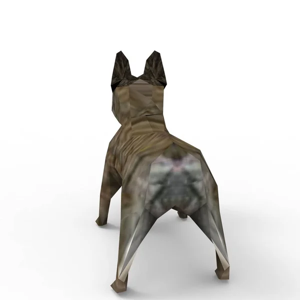 3d renderização de cão criado usando uma ferramenta de liquidificador — Fotografia de Stock