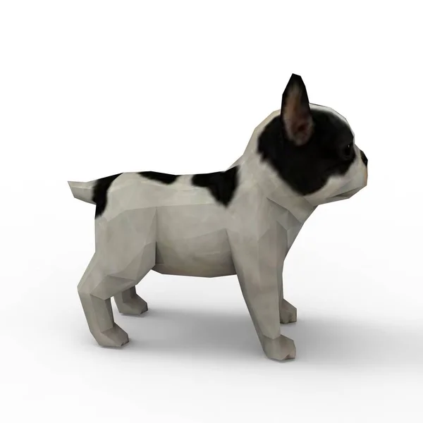 3D-rendering van hond gemaakt met een blender tool — Stockfoto