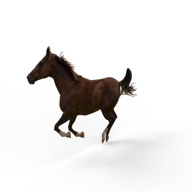 Bir blender aracı kullanılarak oluşturulan atın 3d render
