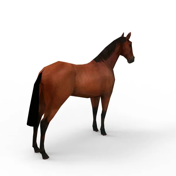 3D візуалізація коня, створеного за допомогою інструменту блендера — стокове фото