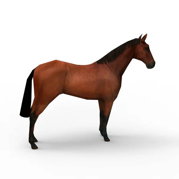 ブレンダーツールを使用して作成された馬の3Dレンダリング — ストック写真
