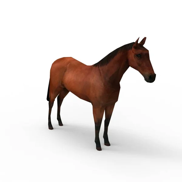 3d representación de caballo creado mediante una herramienta de licuadora — Foto de Stock