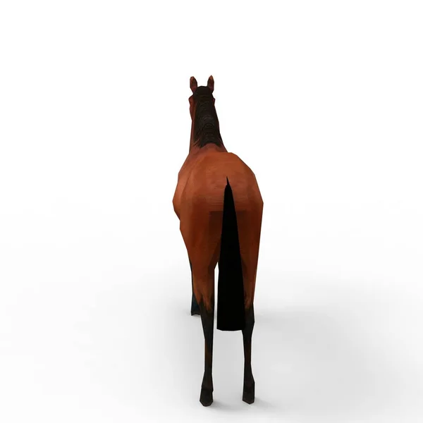 ブレンダーツールを使用して作成された馬の3Dレンダリング — ストック写真