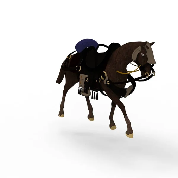 3d rendering of horse created by using a blender tool — Stock Photo, Image