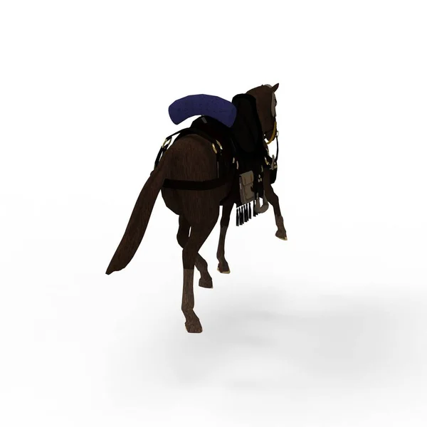 3d representación de caballo creado mediante una herramienta de licuadora — Foto de Stock