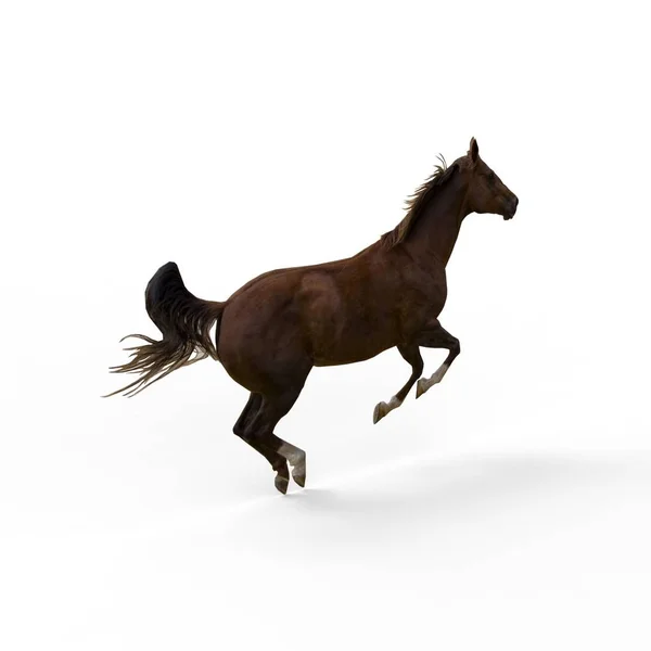 3d representación de caballo creado mediante una herramienta de licuadora — Foto de Stock