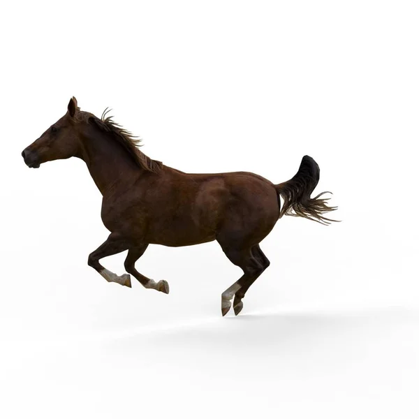 ブレンダーツールを使用して作成された馬の3Dレンダリング — ストック写真