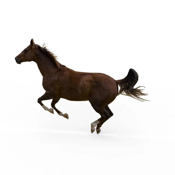 3d representación de caballo creado mediante una herramienta de licuadora — Foto de Stock