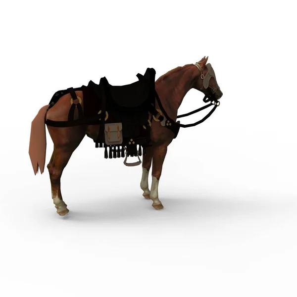 3d representación de caballo creado mediante una herramienta de licuadora — Foto de Stock