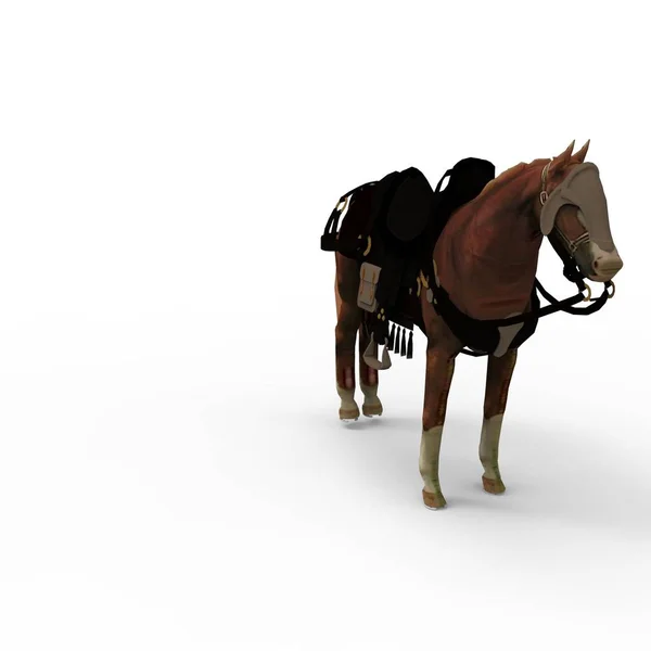 ブレンダーツールを使用して作成された馬の3Dレンダリング — ストック写真