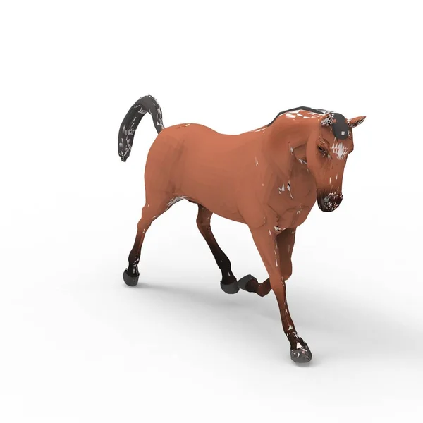 Bir blender aracı kullanılarak oluşturulan atın 3d render — Stok fotoğraf