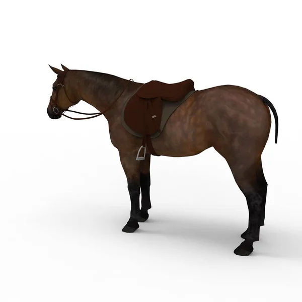 3d representación de caballo creado mediante una herramienta de licuadora — Foto de Stock