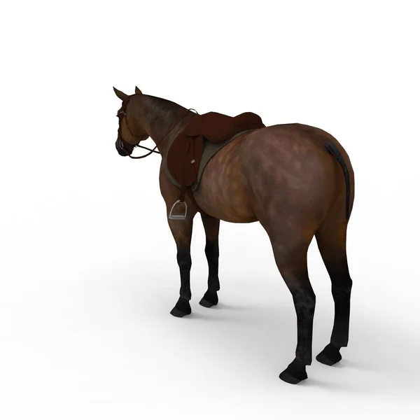 3d rendering of horse created by using a blender tool — Stock Photo, Image