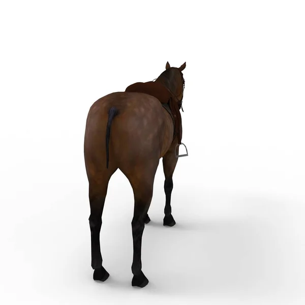 使用搅拌机工具制作的马的 3d 渲染 — 图库照片