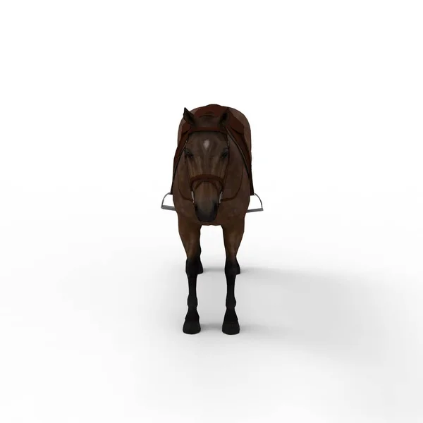 3D-rendering van paard gemaakt met een blender tool — Stockfoto