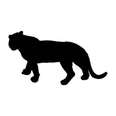 Parçalanmış parçalarıyla sıçrayan kaplan