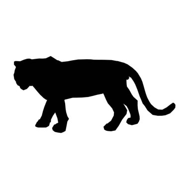 Parçalanmış parçalarıyla sıçrayan kaplan