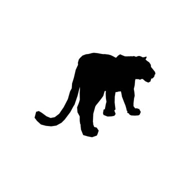 Parçalanmış parçalarıyla sıçrayan kaplan