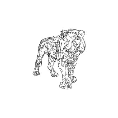 Parçalanmış parçalarıyla sıçrayan kaplan