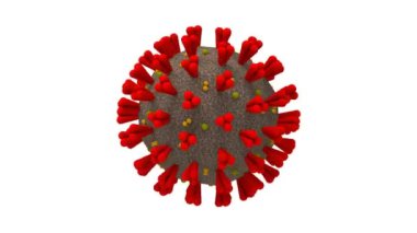 3 Boyutlu Corona Virüsü
