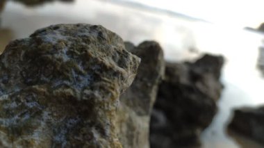 Sahilin panoramik güzelliği