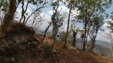 Dağın tepesinden manzara.