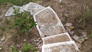 Dağın tepesinden manzara.