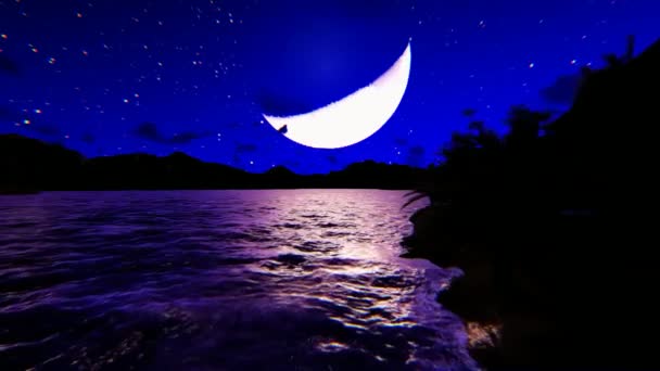 Animowane Fale Morskie Podczas Półksiężyca Nocy — Wideo stockowe