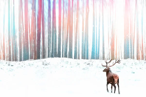 Noble red deer against a winter fantasy colorful forest. Winter Christmas image.