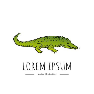 Beyaz arka plan üzerinde izole elle çizilmiş doodle timsah kutsal kişilerin resmi. Vektör çizim timsah simgesi. Yarım yamalak vahşi hayvan öğesi. Spike sırtta nehir tekne turu ile çizgi film korkutucu timsah