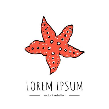 Beyaz arka plan üzerinde izole el çizilmiş doodle deniz yıldız kutsal kişilerin resmi. Resimde Florida sembolü ABD çizgi film okyanus öğe tropikal plaj tatil seashell sualtı canlıları vektör
