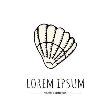 El çizilmiş doodle deniz kabuğu simgesi beyaz arka plan üzerinde izole. Resimde Florida sembolü ABD çizgi film okyanus öğe tropikal plaj tatil seashell sualtı canlıları vektör