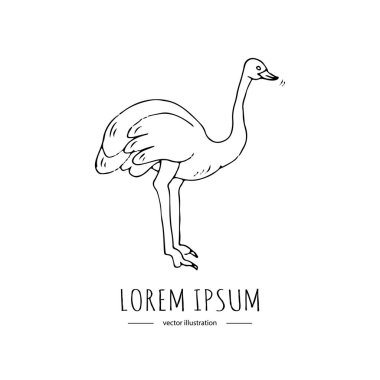 Elle çizilmiş doodle beyaz arka plan Avustralya Ulusal sembol karikatür öğe grubu veya yabani kuş siluet hayvan izole devekuşu simge vektör çizim